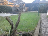 ASUS MeMO Pad 8 (ME581C)