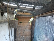 ASUS MeMO Pad 8 (ME581C)