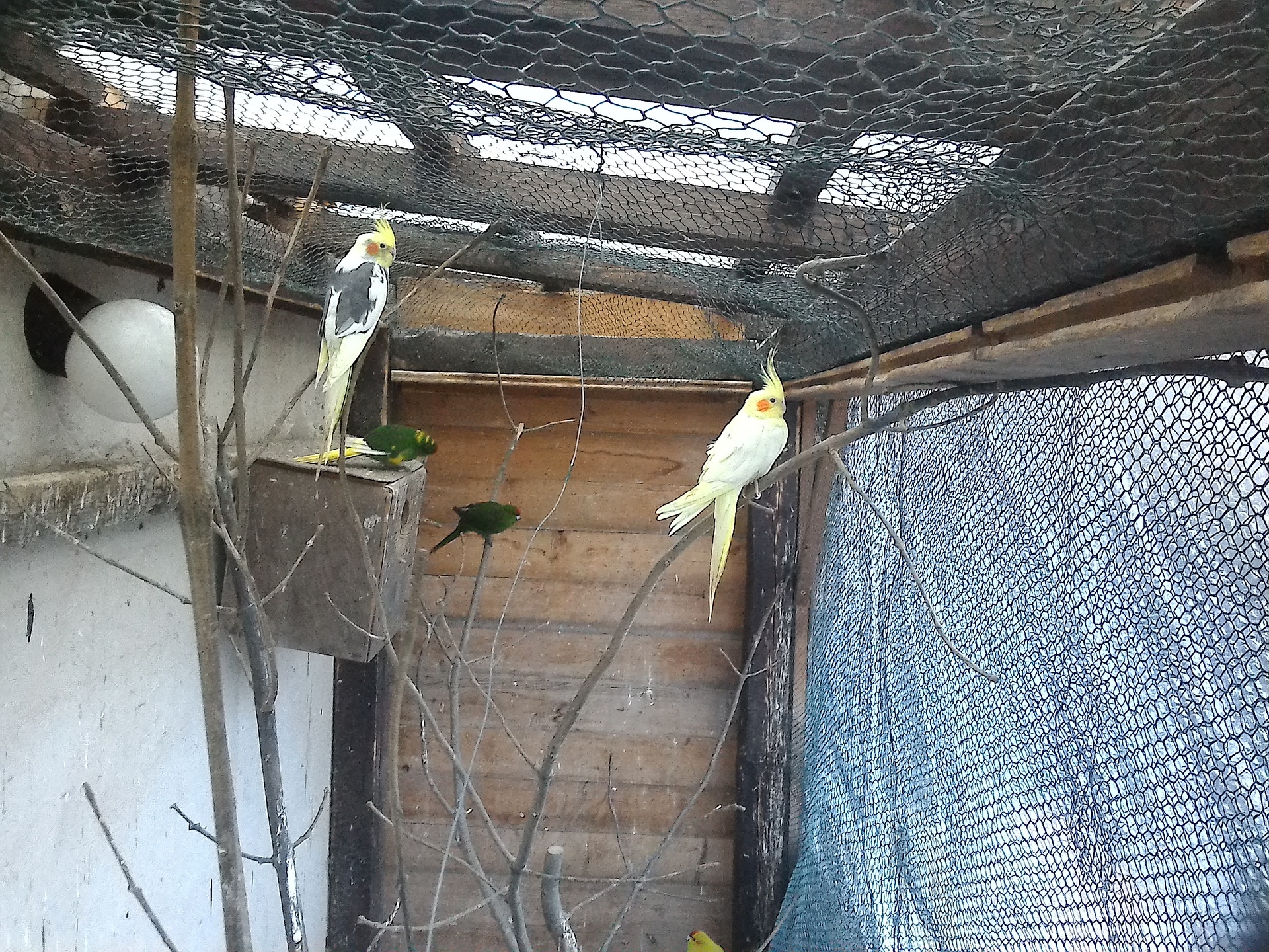 ASUS MeMO Pad 8 (ME581C)