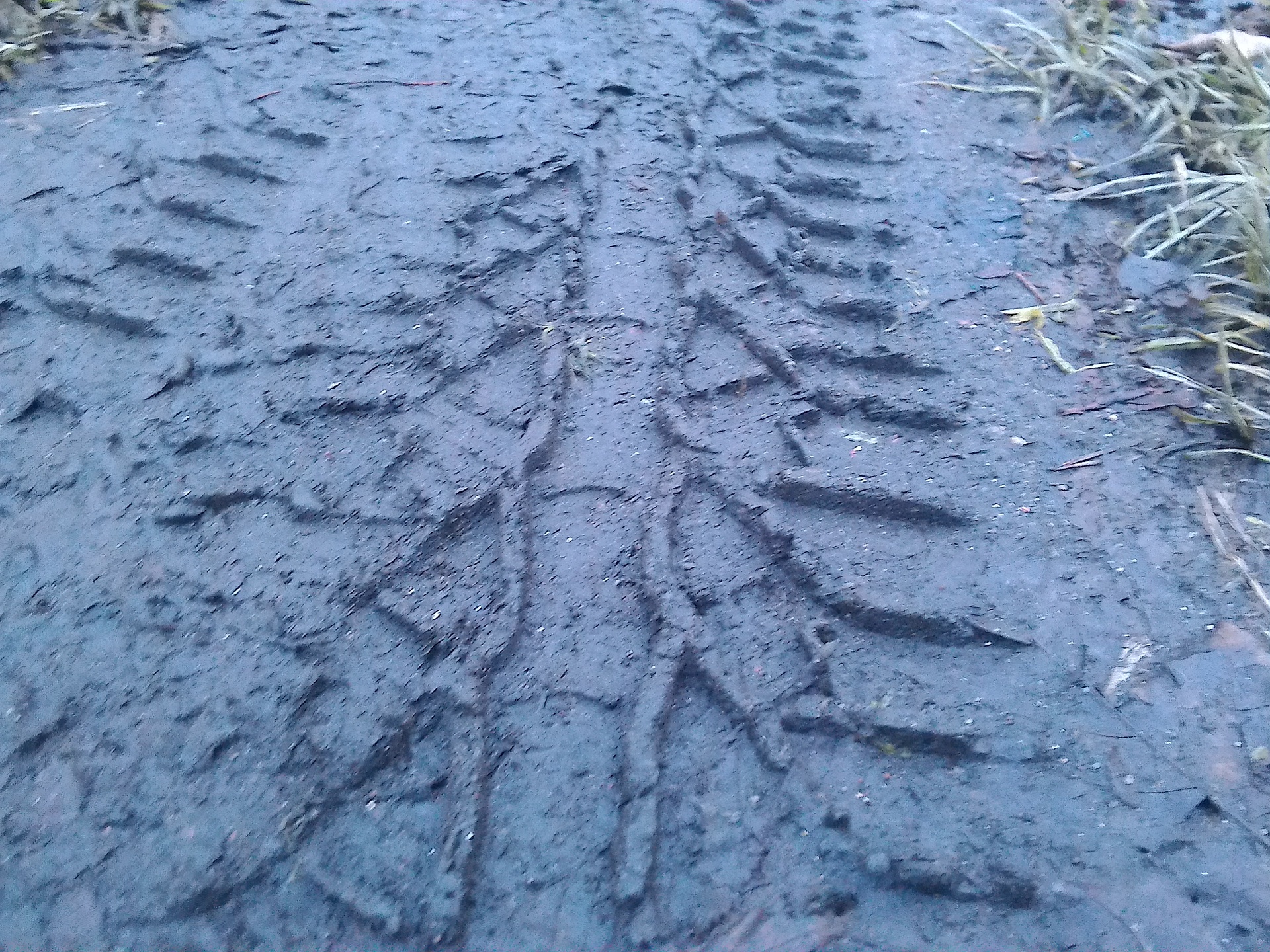 ASUS MeMO Pad 8 (ME581C)