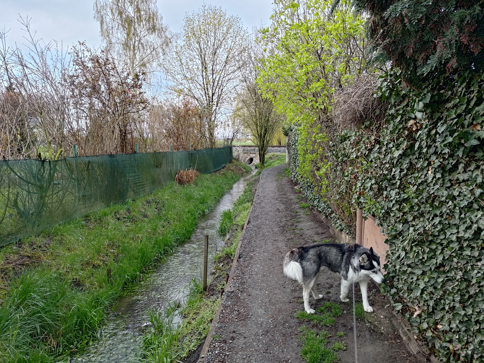 ASUS ROG Phone 7 Ultimate