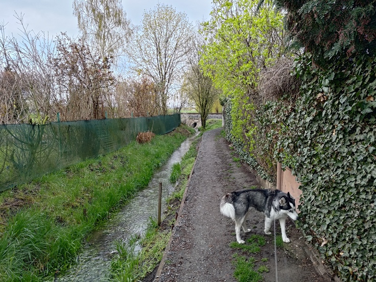 ASUS ROG Phone 7 Ultimate