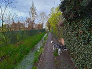 ASUS ROG Phone 7 Ultimate