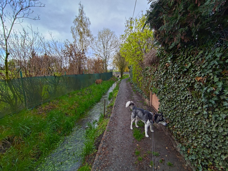 ASUS ROG Phone 7 Ultimate