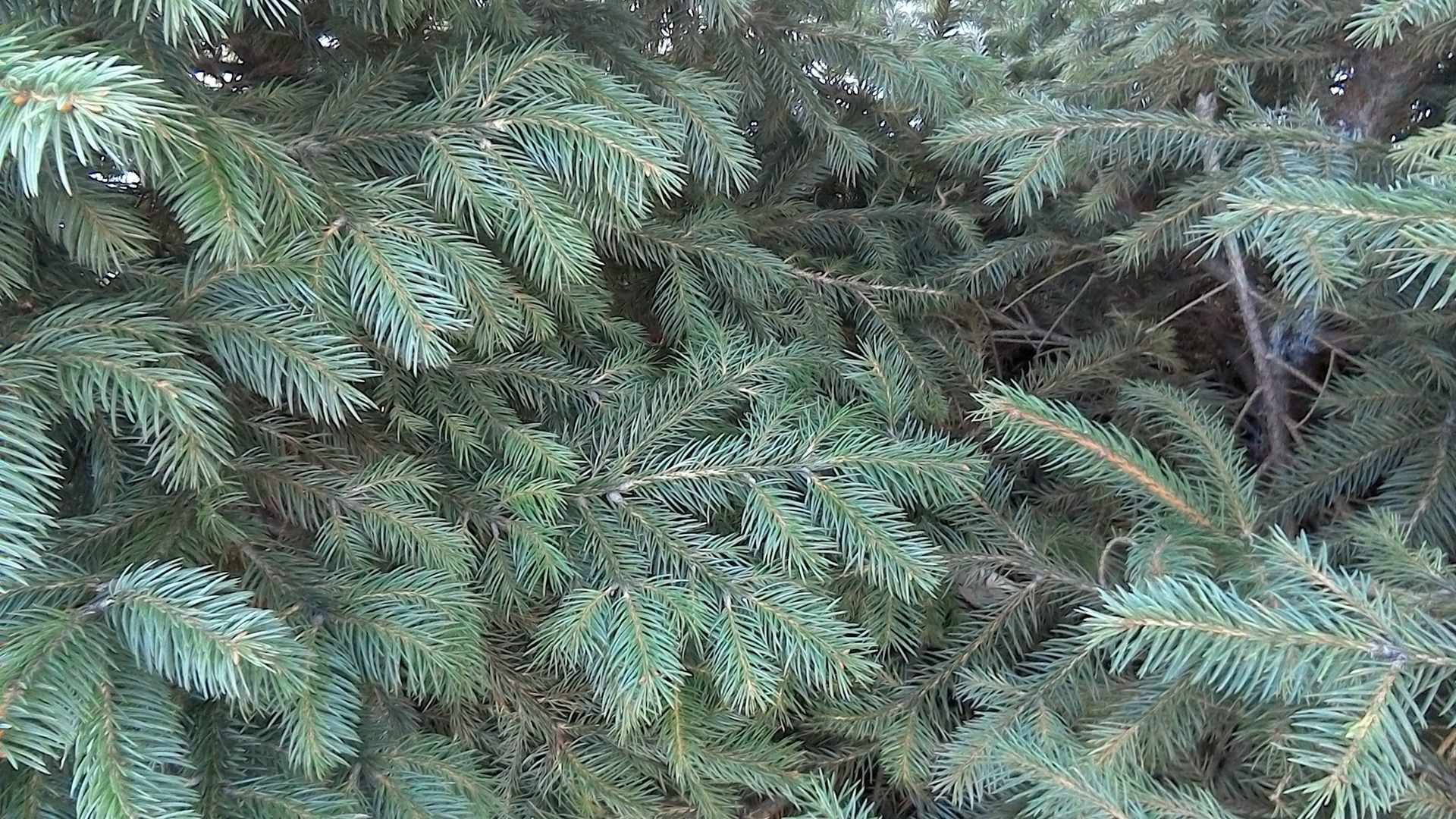 ASUS Transformer Book T100HA