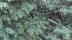 ASUS Transformer Book T100HA