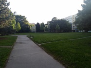 ASUS Transformer Pad 300