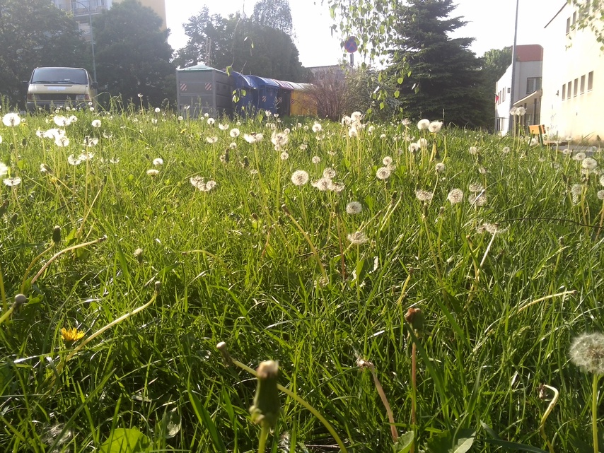 ASUS Transformer Pad 300 Series