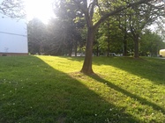 ASUS Transformer Pad 300 Series