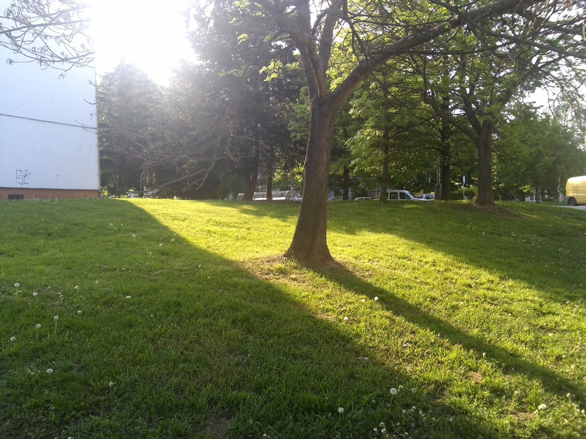 ASUS Transformer Pad 300 Series