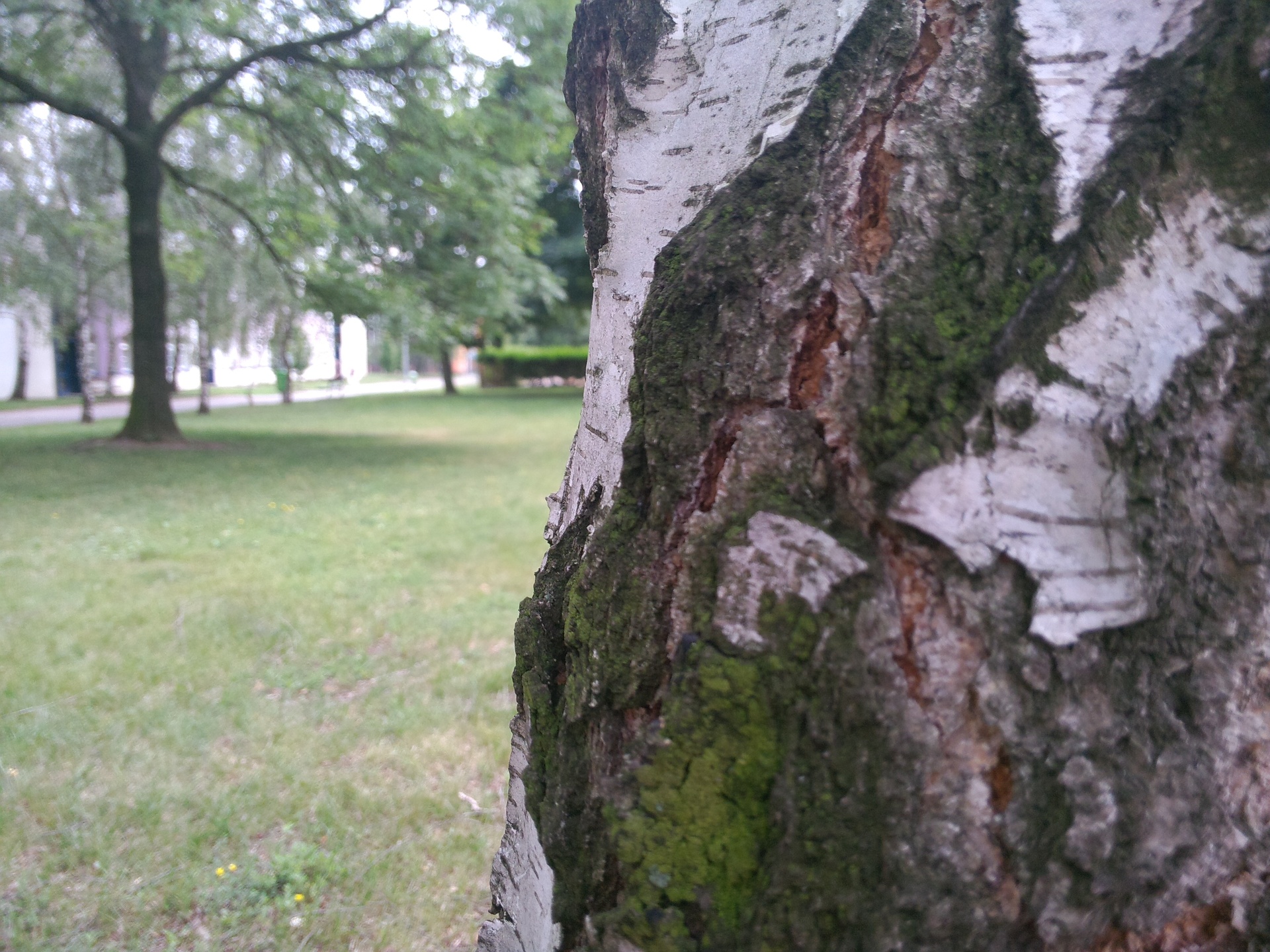 ASUS Transformer Pad Infinity