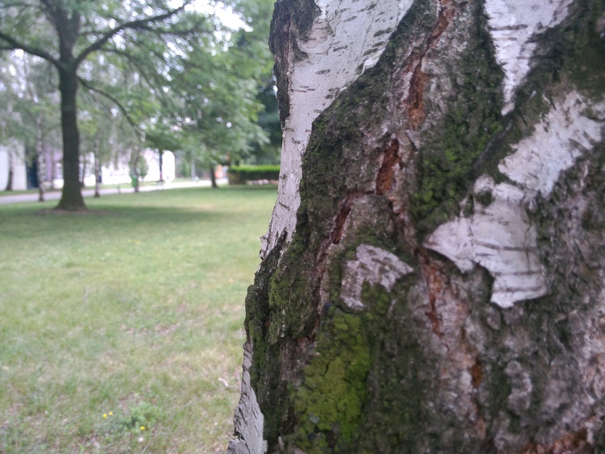 ASUS Transformer Pad Infinity