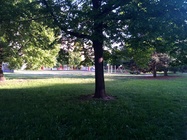 ASUS Transformer Pad Infinity