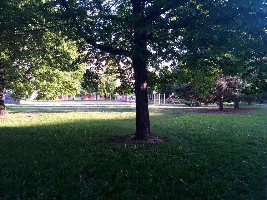 ASUS Transformer Pad Infinity