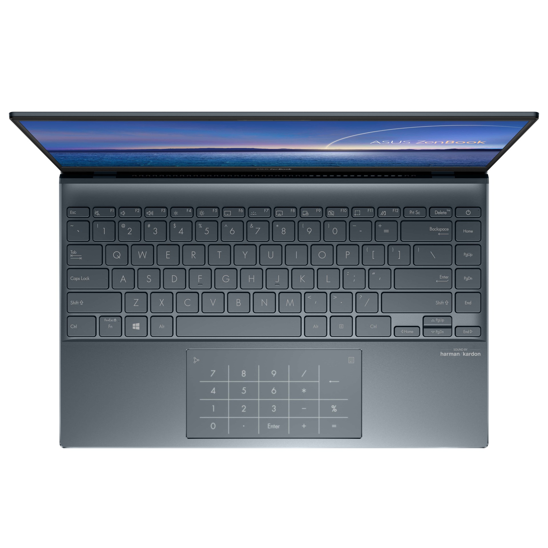 ASUS ZenBook 14 UX425