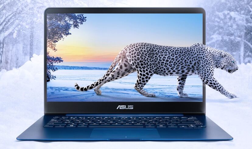 ASUS ZenBook UX430UN
