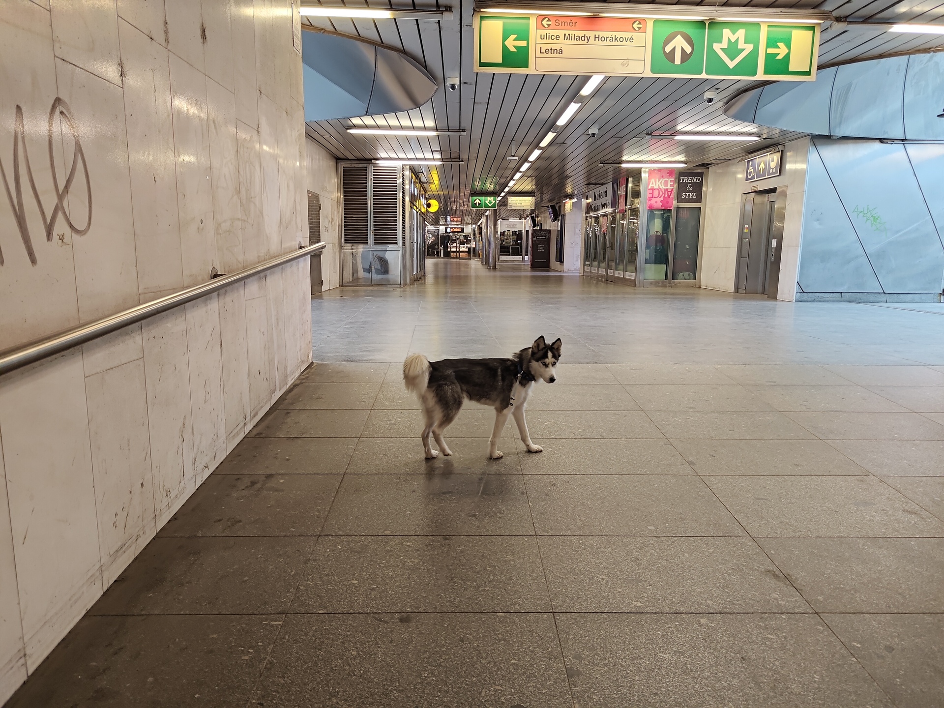 ASUS ZenFone 11 Ultra