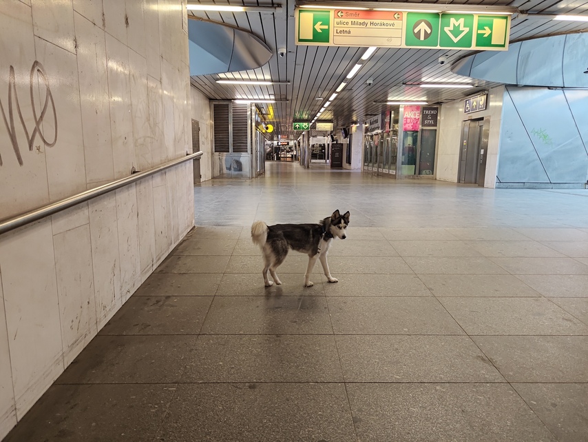 ASUS ZenFone 11 Ultra