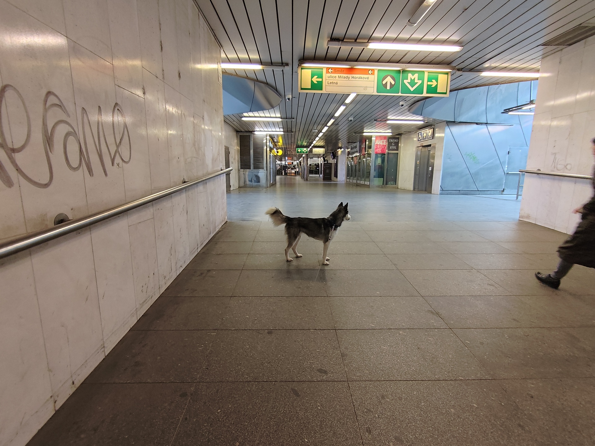 ASUS ZenFone 11 Ultra