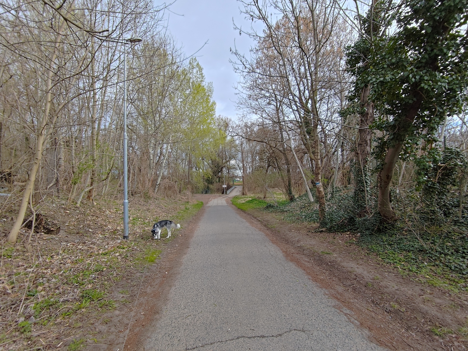 ASUS ZenFone 11 Ultra