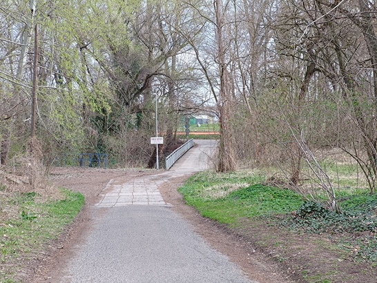 ASUS ZenFone 11 Ultra