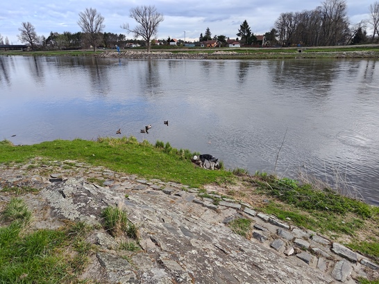 ASUS ZenFone 11 Ultra