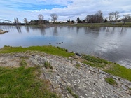 ASUS ZenFone 11 Ultra