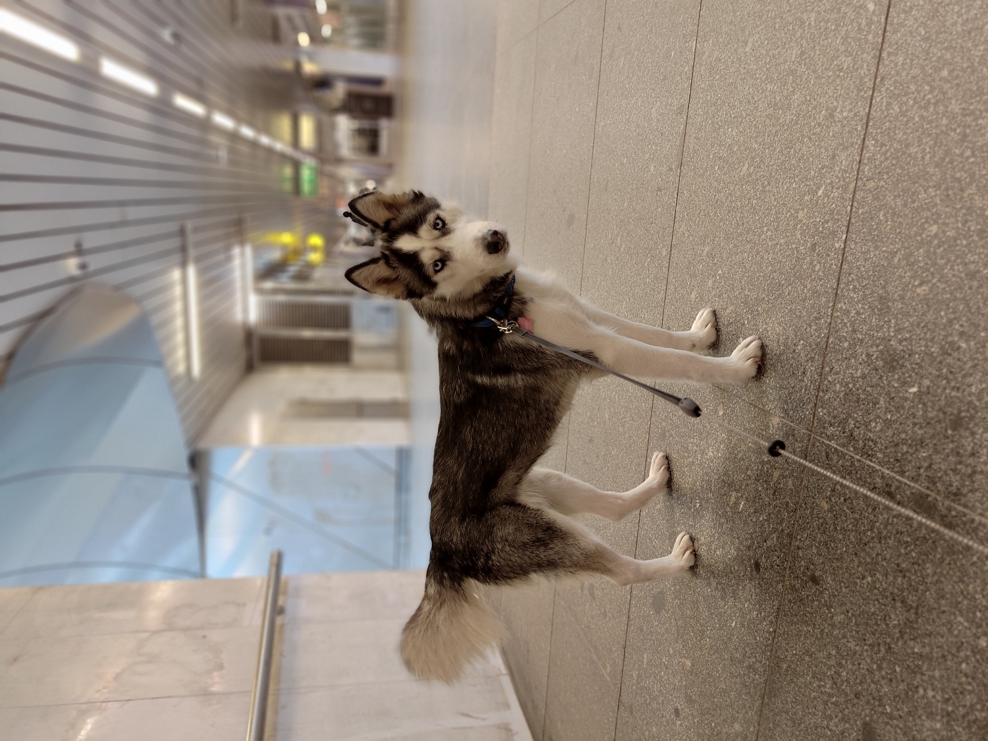 ASUS ZenFone 11 Ultra