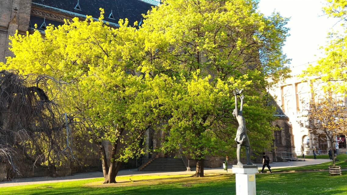 ASUS ZenFone 2 Deluxe Special Edition