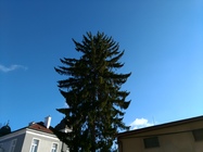 ASUS ZenFone 3 Deluxe