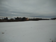 ASUS ZenFone 3 Max (5.5)