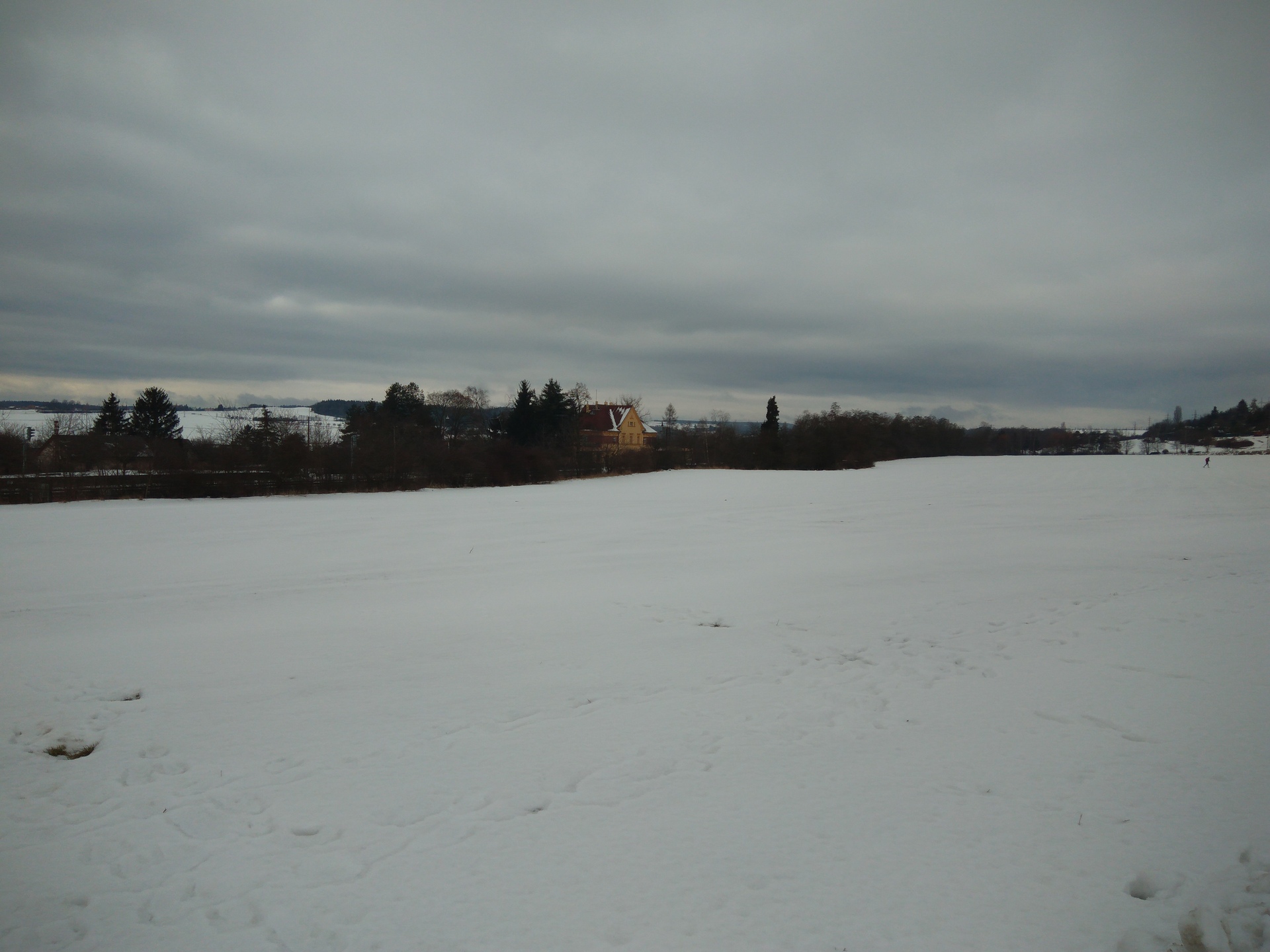 ASUS ZenFone 3 Max (5.5)