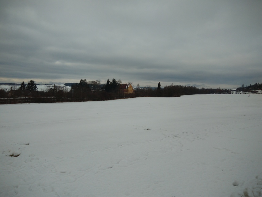 ASUS ZenFone 3 Max (5.5)