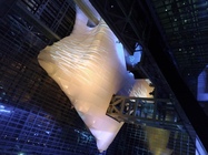 ASUS ZenFone 4 (2017)