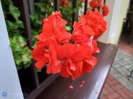 ASUS ZenFone 4 (2017)