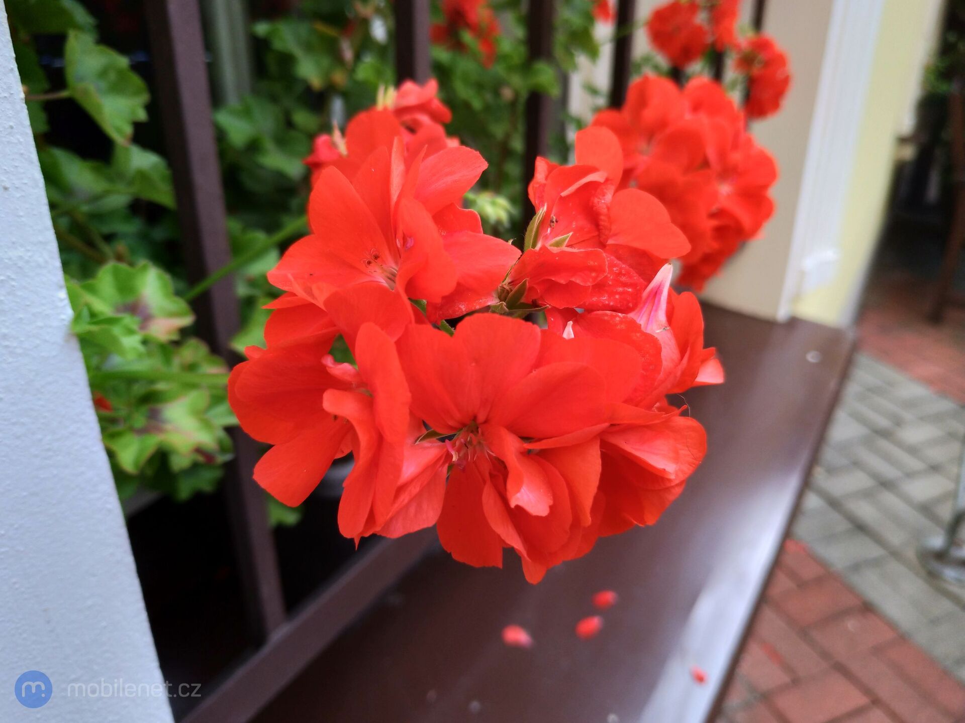 ASUS ZenFone 4 (2017)