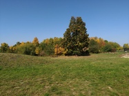 ASUS ZenFone 4 (2017)