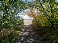 ASUS ZenFone 4 (2017)