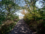 ASUS ZenFone 4 (2017)