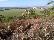 ASUS ZenFone 4 (2017)