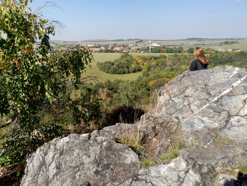 ASUS ZenFone 4 (2017)