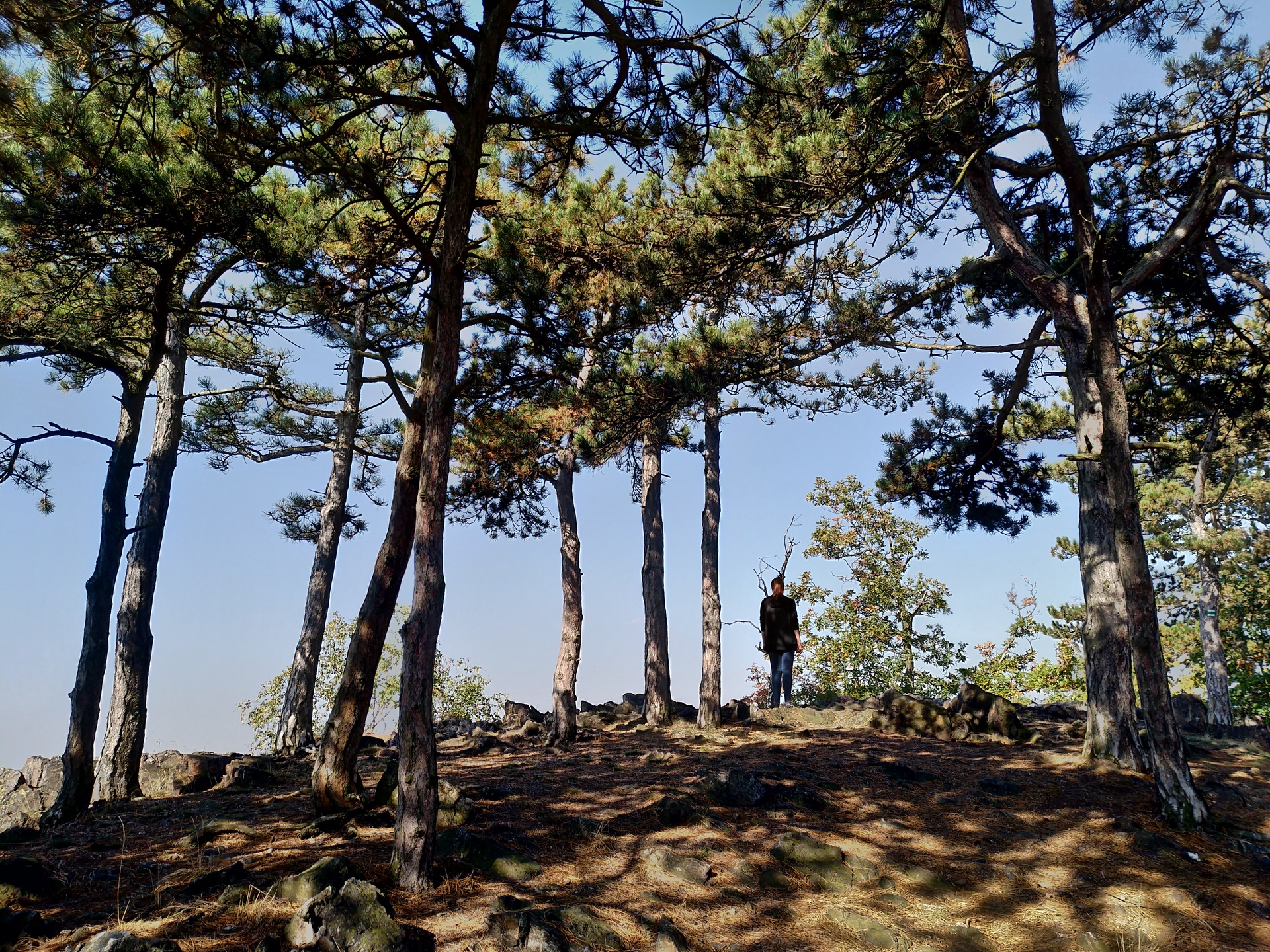 ASUS ZenFone 4 (2017)