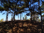 ASUS ZenFone 4 (2017)