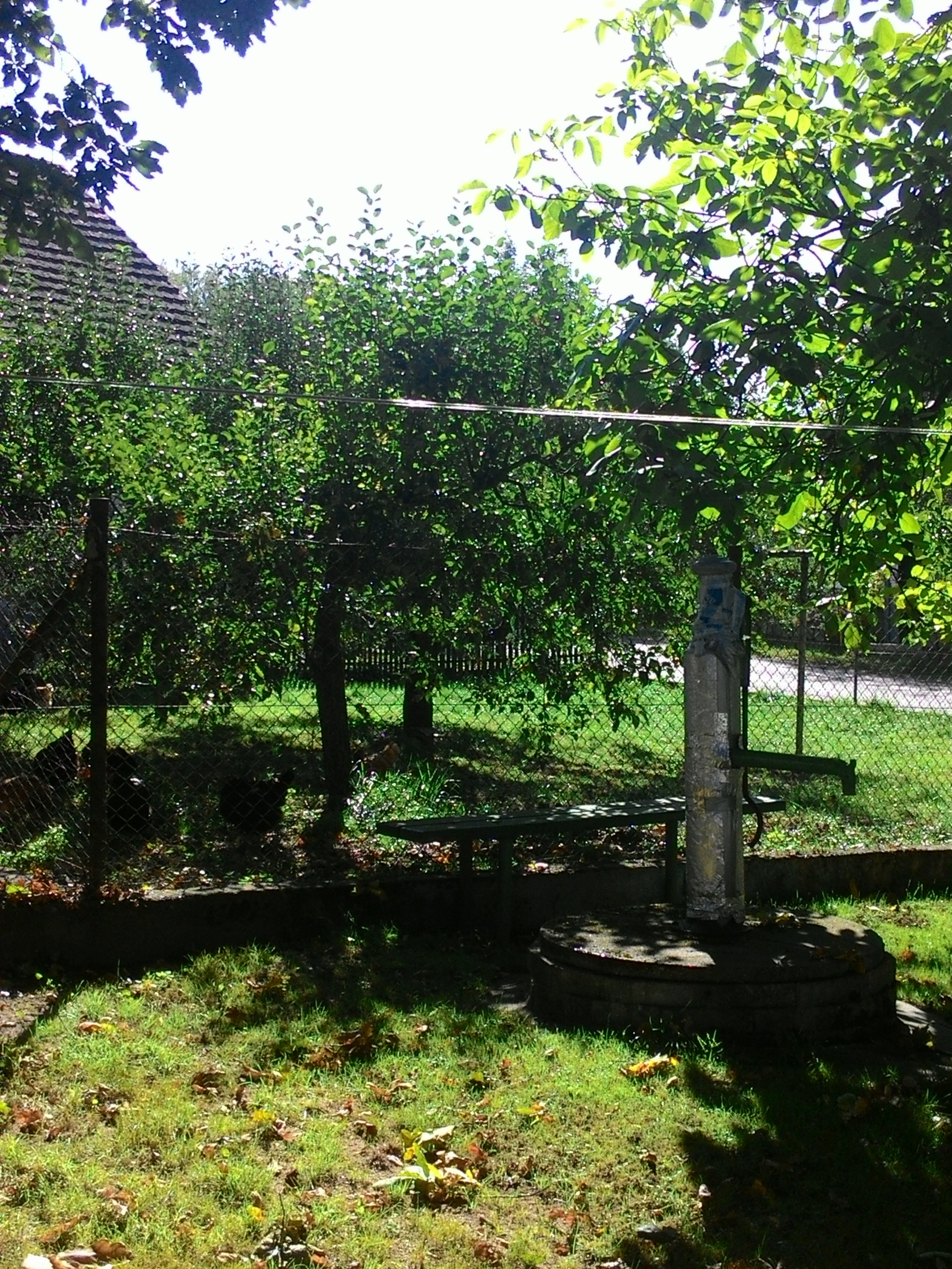 ASUS ZenFone 4 A450CG