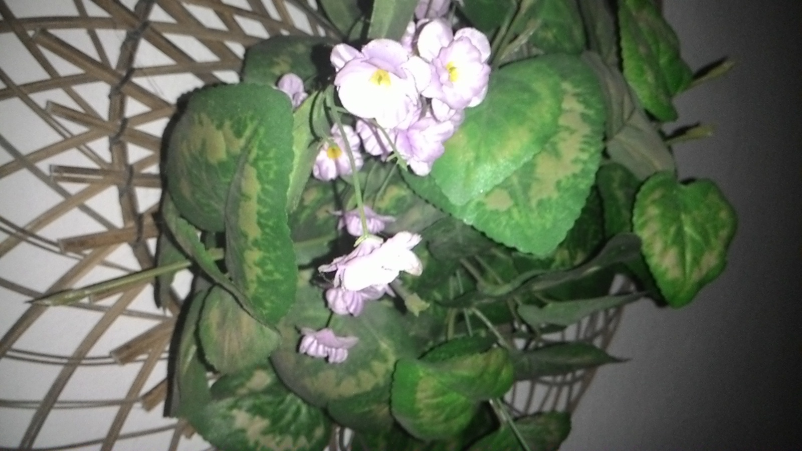 ASUS ZenFone 4 A450CG