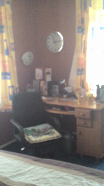 ASUS ZenFone 4 A450CG