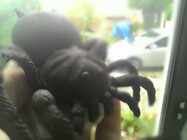 ASUS ZenFone 4 A450CG