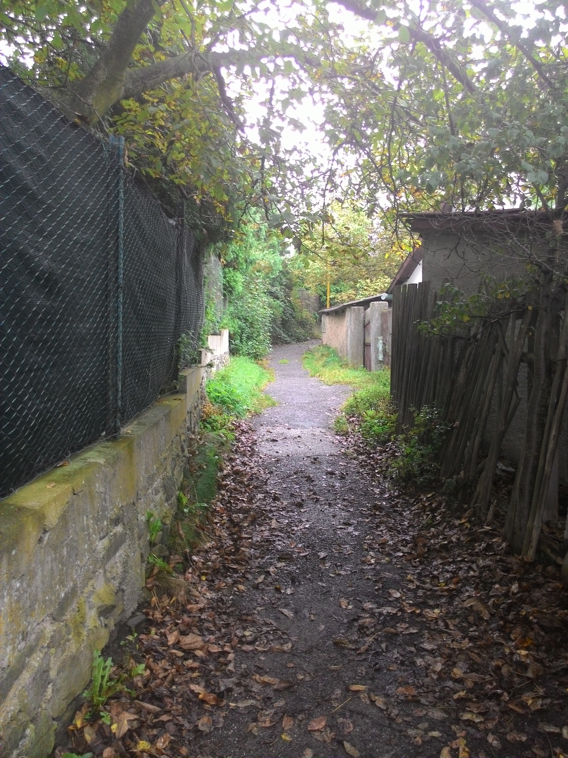 ASUS ZenFone 4 A450CG