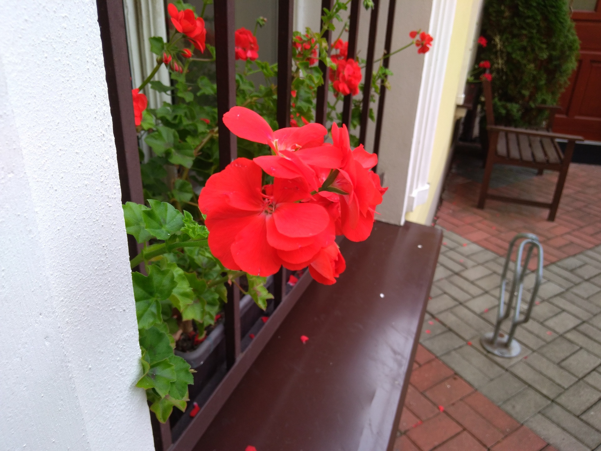 ASUS ZenFone 4 Max Plus