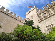 ASUS ZenFone 6 (2019)